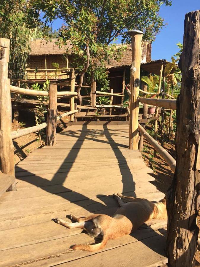 Tree Lodge Banlung Esterno foto