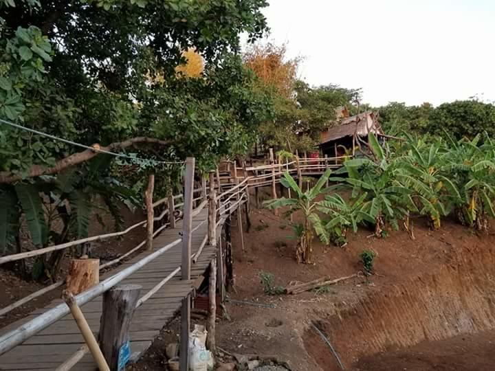 Tree Lodge Banlung Esterno foto
