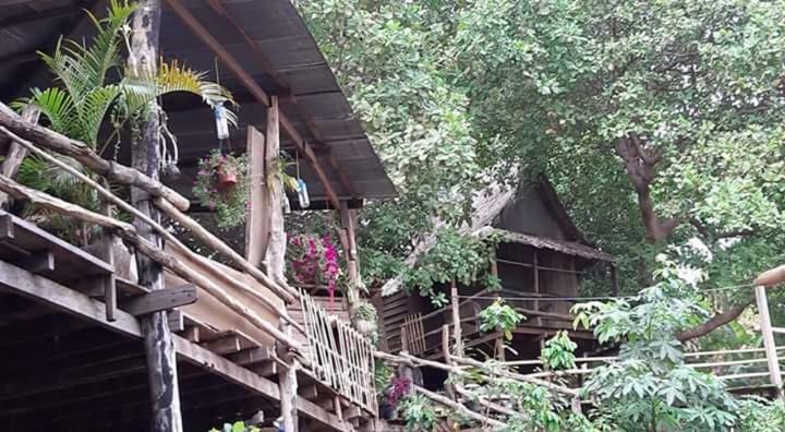 Tree Lodge Banlung Esterno foto